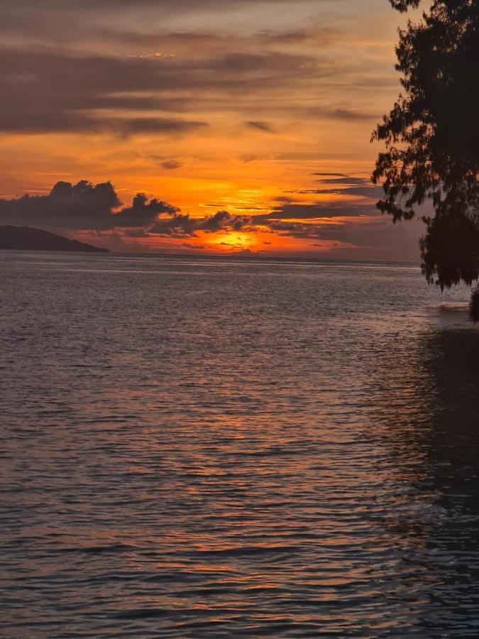 Wai Resort - Raja Ampat Pulau Birie Eksteriør billede