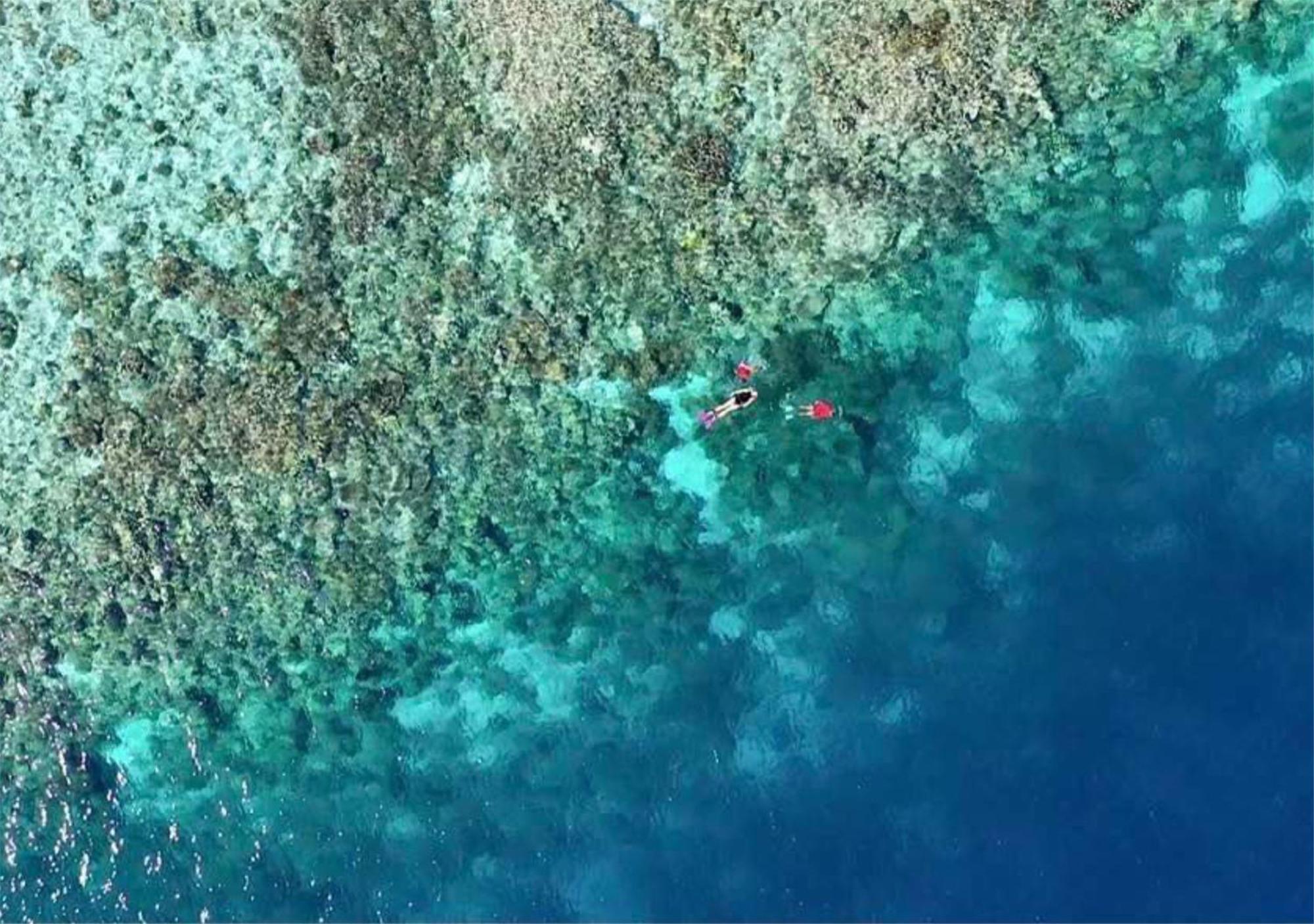 Wai Resort - Raja Ampat Pulau Birie Eksteriør billede