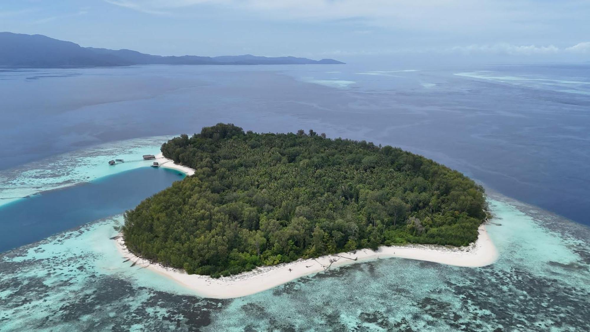 Wai Resort - Raja Ampat Pulau Birie Eksteriør billede