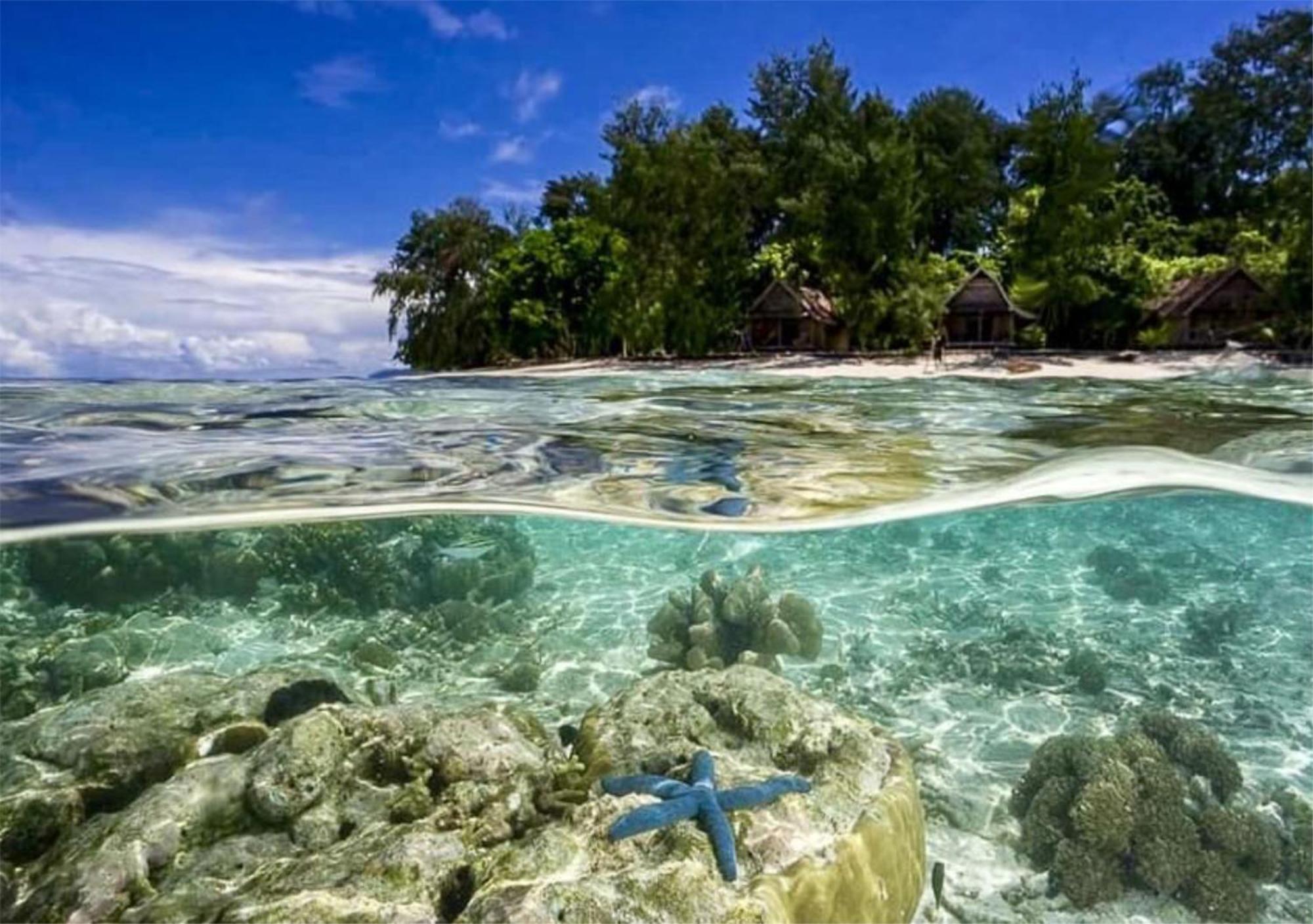 Wai Resort - Raja Ampat Pulau Birie Eksteriør billede