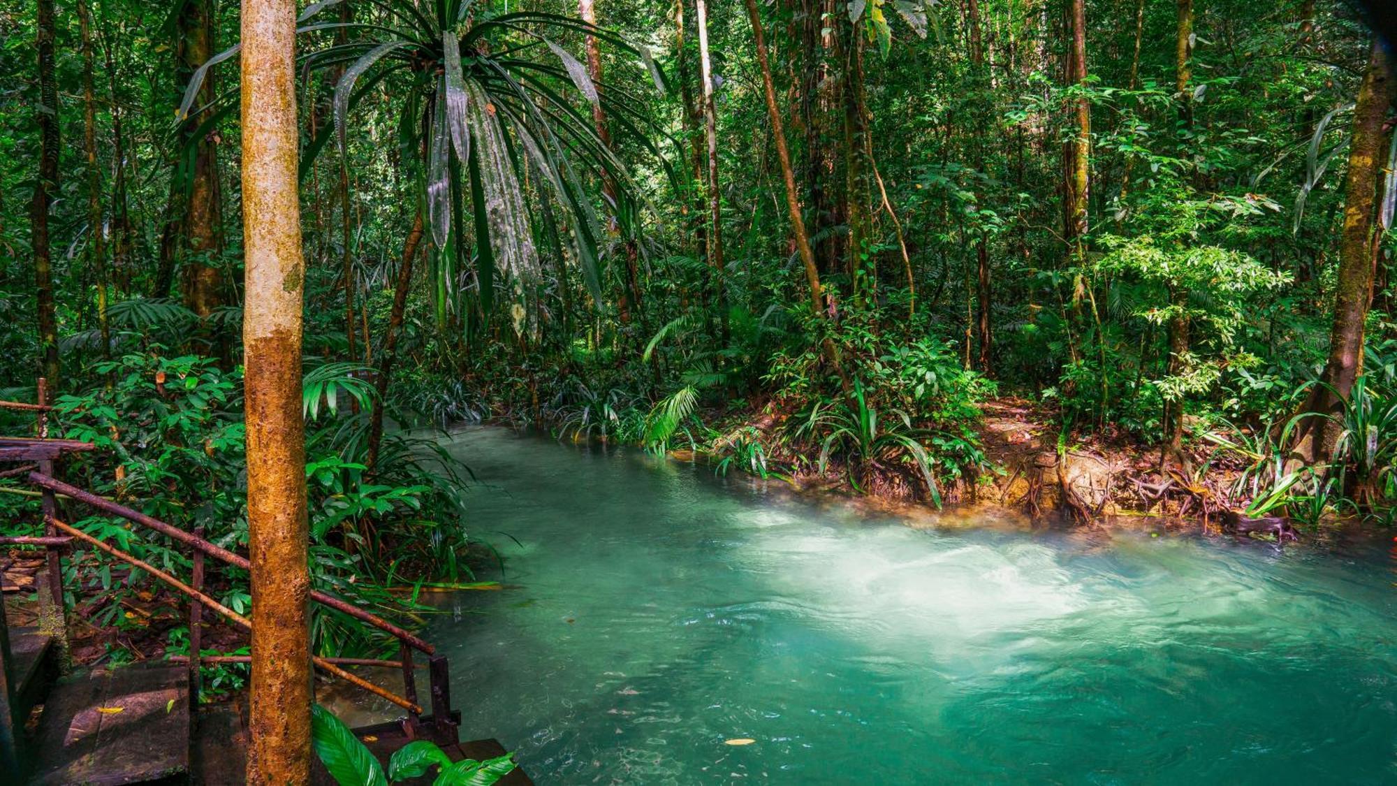 Wai Resort - Raja Ampat Pulau Birie Eksteriør billede