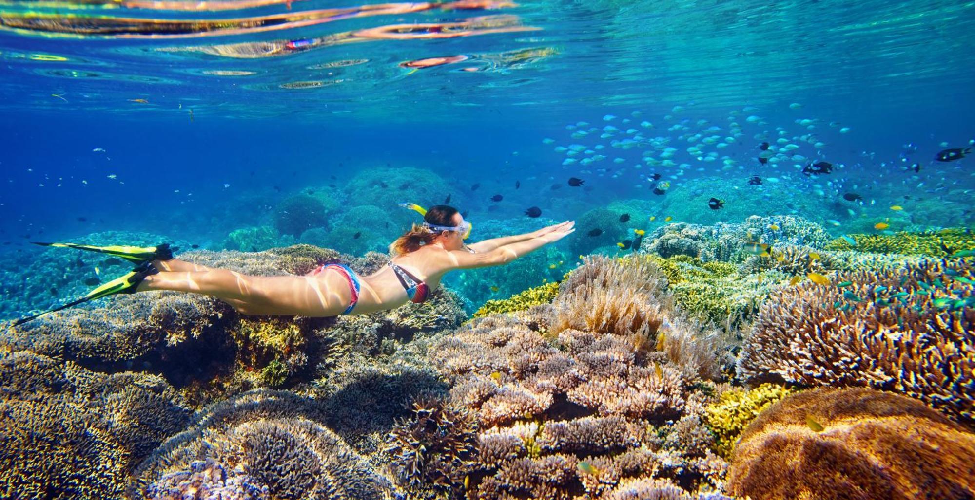 Wai Resort - Raja Ampat Pulau Birie Eksteriør billede